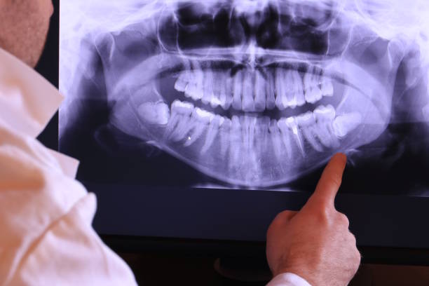 Best Emergency X-Rays and Diagnostics in Wheeling, WV