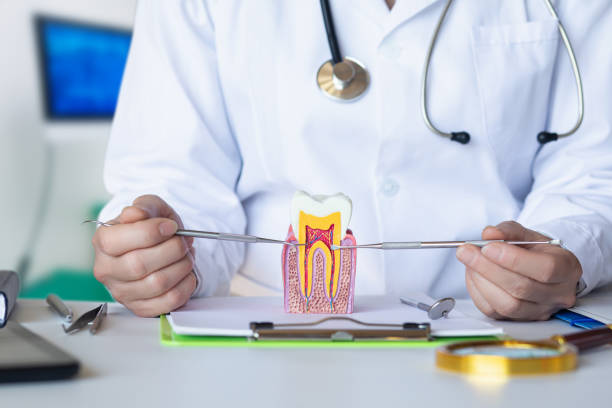 Best Dental Abscess Treatment in Wheeling, WV